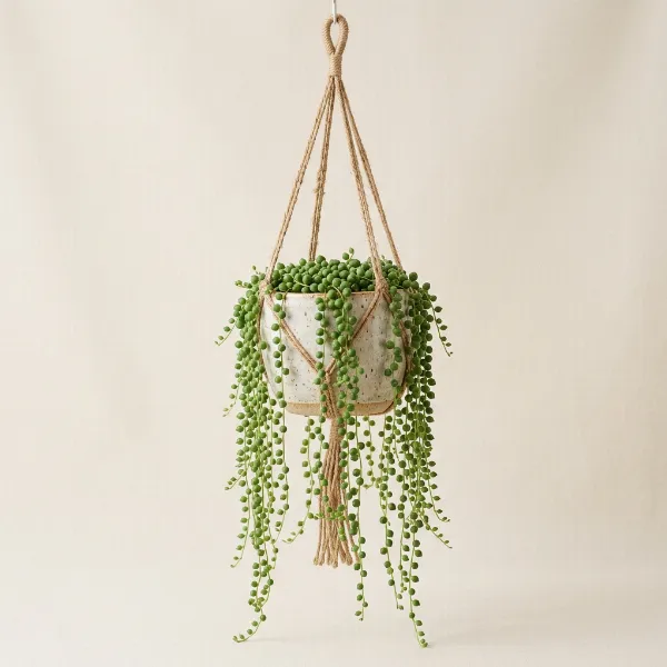String of Pearls